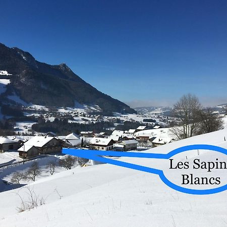 Les Sapins Blancs Lägenhet Vacheresse Exteriör bild