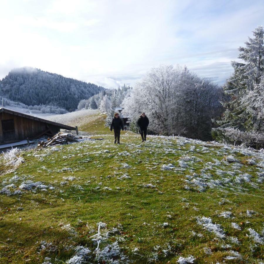 Les Sapins Blancs Lägenhet Vacheresse Exteriör bild