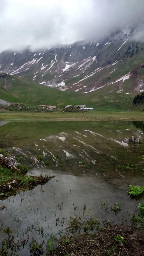 Les Sapins Blancs Lägenhet Vacheresse Exteriör bild